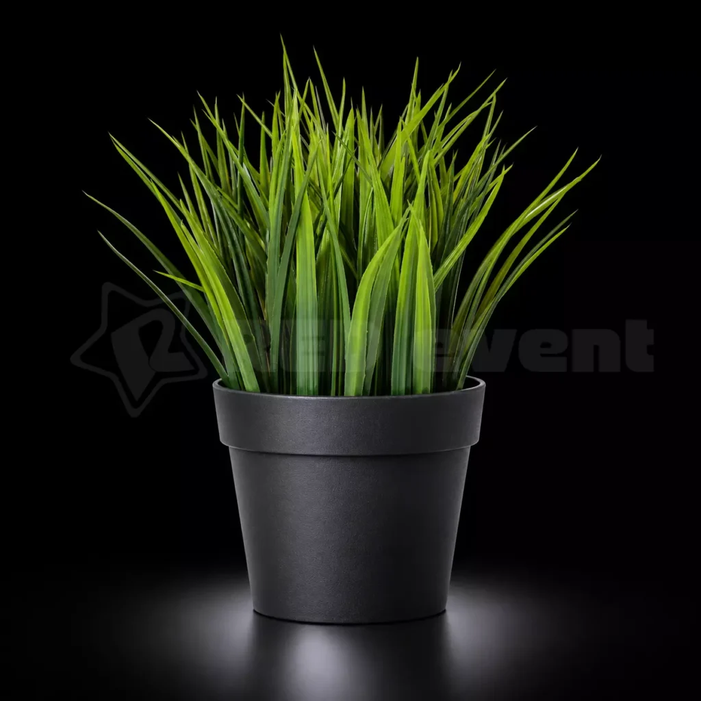 grass-for-peak