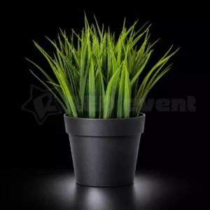 grass-for-peak